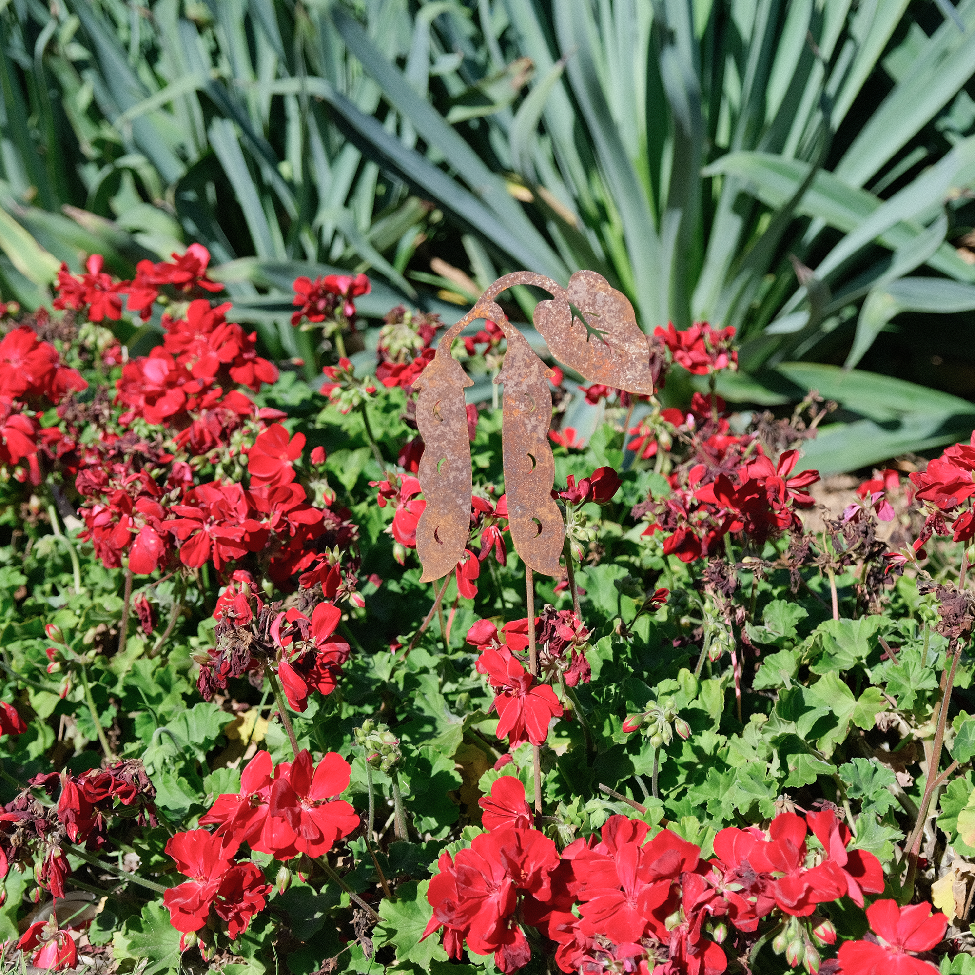 W4944 Rusted Garden Stakes - Hyacinth Bean Picks for Outdoor Decor, Vine Support & Rustic Garden Design