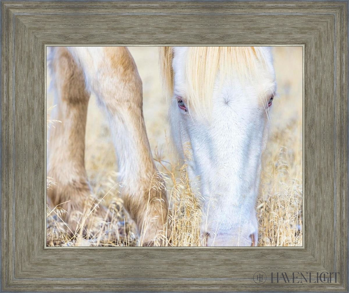 Dry Grass by Greg Sargent - Premium Handcrafted Home Decor for Rustic & Farmhouse Style - Perfect for Wall Art, Shelf Displays & Cozy Living Room Decor