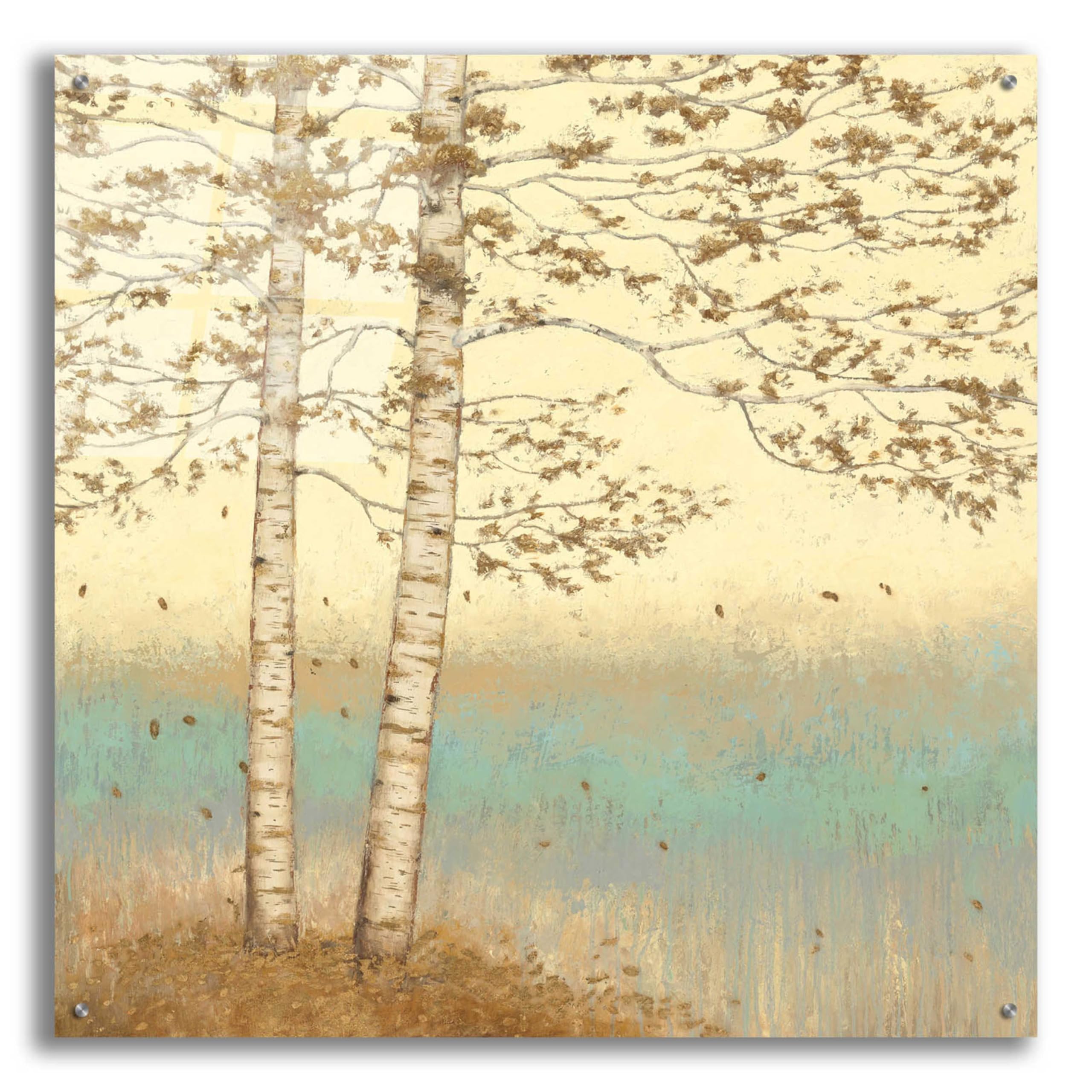Golden Birch I Acrylic Glass Wall Art by James Wiens - 36x36 Inches Modern Home Decor for Living Room, Bedroom & Office