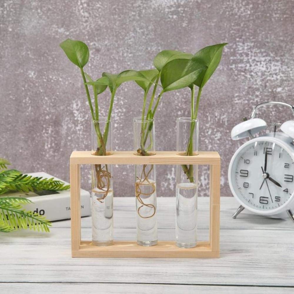 VJRQM Clear Glass Vase with Wooden Frame & Iron Art - Modern Terrarium Planter for Bonsai, Succulents, Air Plants | Elegant Home & Office Desk Decor for Living Room, Dining Table, Wedding Centerpiece