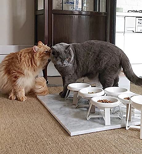 Pecolo Elevated Ceramic Cat and Small Dog Bowl - Spine Protection, Easy to Clean, Modern Aesthetic Pet Food Dish for Home, Kitchen, or Dining Area