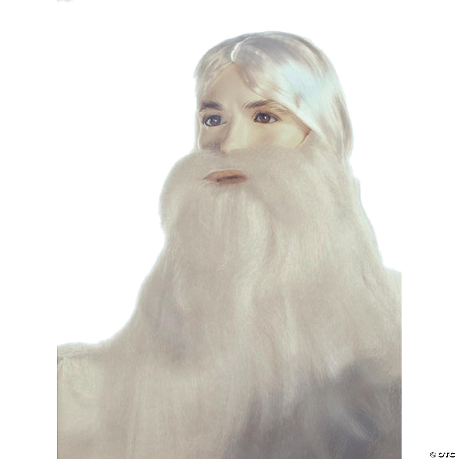 Wizard Beard and Wig Costume Set for Cosplay, Halloween, and Fantasy Role-Playing – Perfect for Wizards, Witches, and Medieval Characters