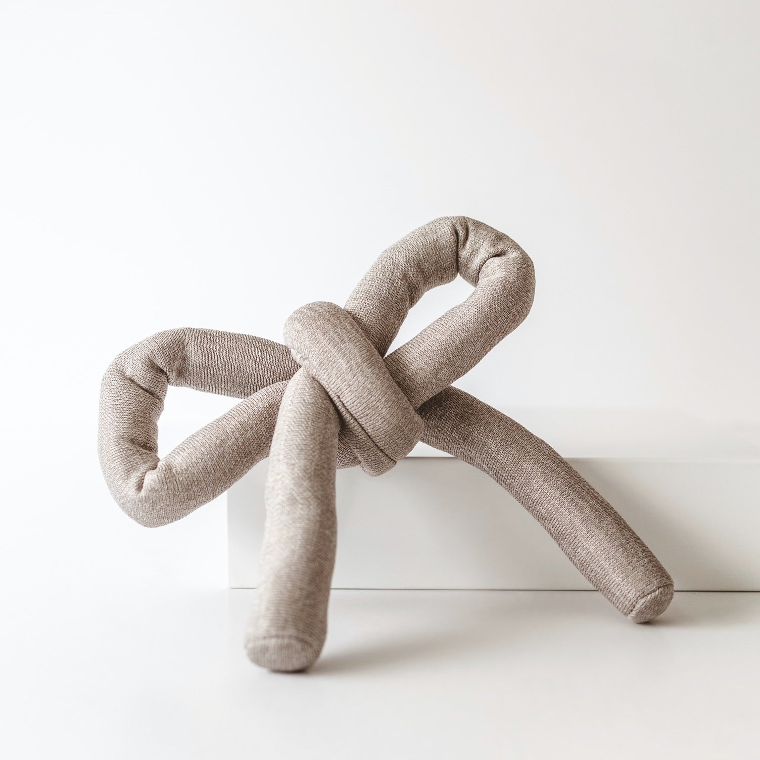 Interactive Crinkle Pet Toy for Dogs & Cats - Sensory Enrichment Play Object for Puppy & Kitten Training, Indoor Playtime & Anxiety Relief