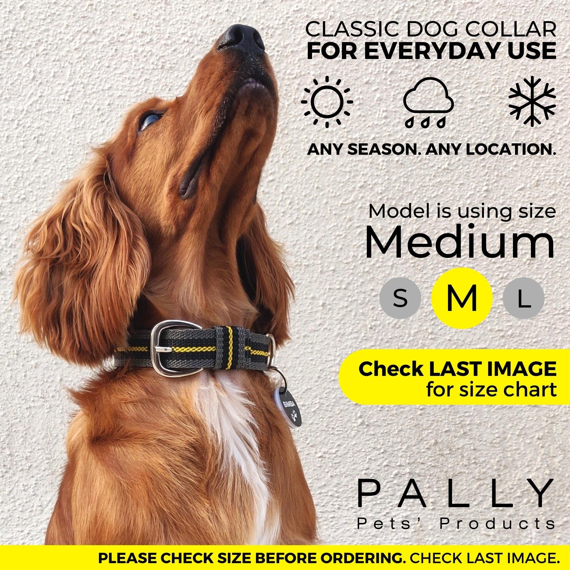 Premium Padded Nylon Dog Collar with Metal Buckle - Adjustable Classic Pet Collar for Large Dogs (Grey) | Comfortable & Durable for Daily Walks, Training & Outdoor Adventures