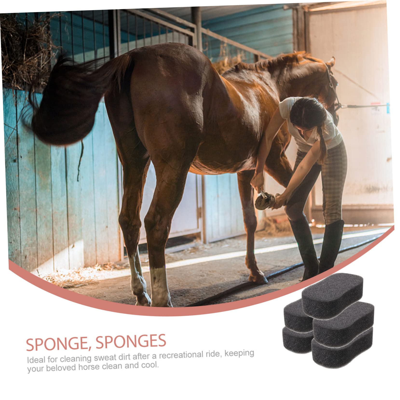 5-Piece Horse Grooming Sponge Set - Durable Bath & Body Cleaning Sponges for Horses - Easy to Clean & Reusable - Perfect for Stable, Show & Trail Riding Care