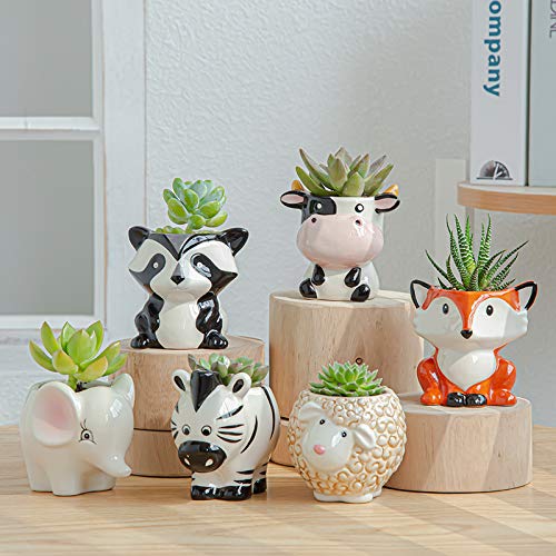 Gaolinci Mini Cute Ceramic Animal Flower Pot for Succulent Plants - Small Decorative Planter for Home, Office Desk, Garden Decor & Gift Ideas