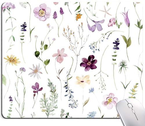 Beautiful Flowers Plants