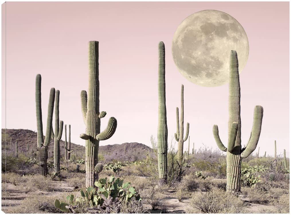Blush Cactus Desert Fine Art Canvas Wall Decor by Sisi & Seb - 32x24 Inch Ready to Hang Painting for Living Room, Bedroom, Office & More - Perfect for Boho, Modern & Desert-Themed Home Decor