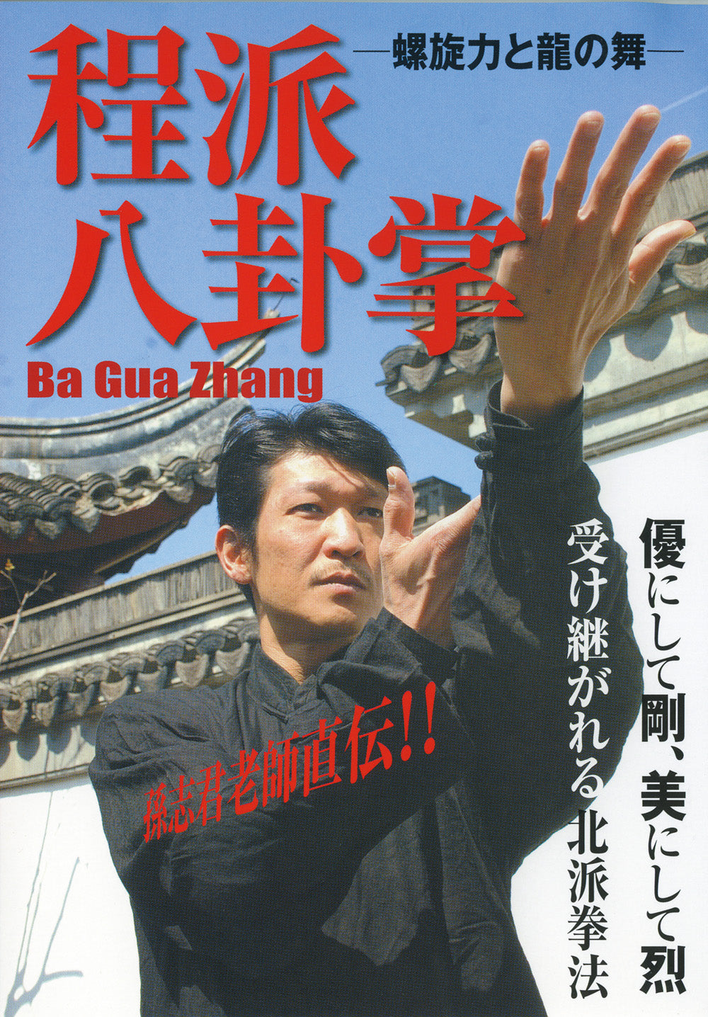 Yuito Honda's Cheng School Baguazhang Instructional DVD - Authentic Chinese Martial Arts Training for Self-Defense & Fitness | Perfect for Home Practice & Martial Arts Enthusiasts