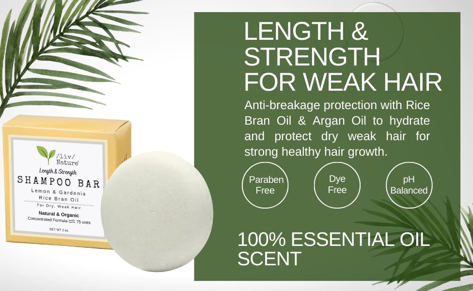Fragrance Free Shampoo Bar & Rice Shampoo Bar with Lemon and Gardenia Scents | Natural, Non-Toxic, Eco-Friendly Hair Cleansing Bars for Sensitive Scalp | Perfect for Travel, Camping & Zero Waste Lifestyle