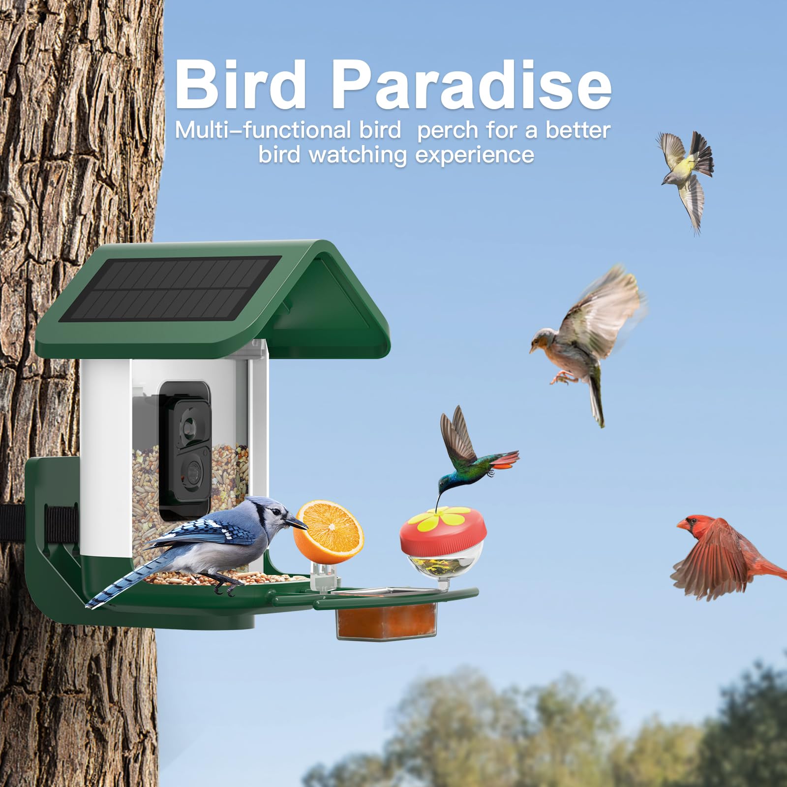 Solar Powered Smart Bird Feeder with 2K HD Camera - AI Bird Identification, Auto Capture Videos & Photos, 2.4GHz WiFi for Outdoor Backyard - Perfect Gift for Bird Lovers, Parents & Nature Enthusiasts | Enjoy Birdwatching from Home or Office