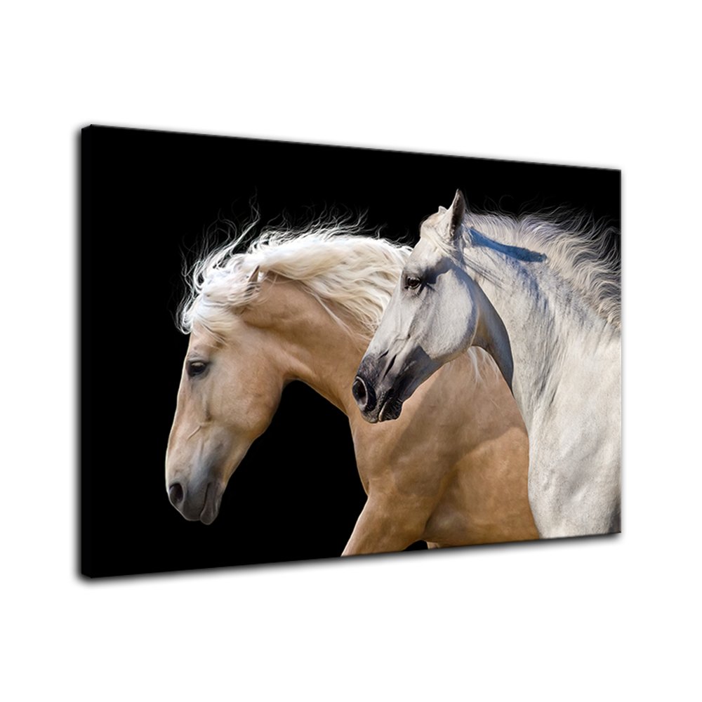 Two Brown and White Running Horses Canvas Wall Art - Contemporary Black Background Giclee Framed Painting - HD Printed Photo Decor for Living Room, Bedroom & Office
