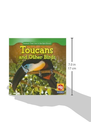 Toucans and Other Birds - Rainforest Animals for Kids | Educational Wildlife Books for Classroom & Home Learning