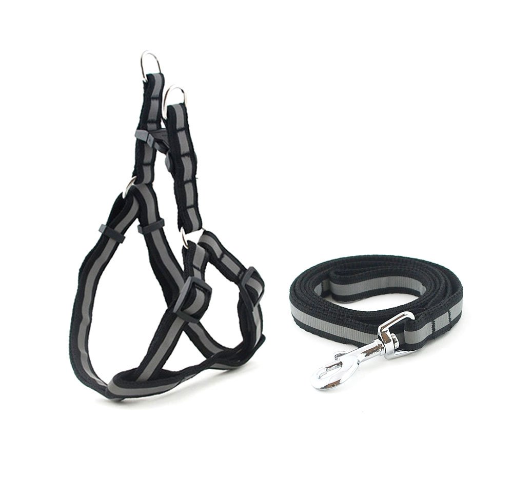 Small Pet Reflective Dog Harness and Leash Set - Nylon Puppy Harness with Adjustable Straps (12