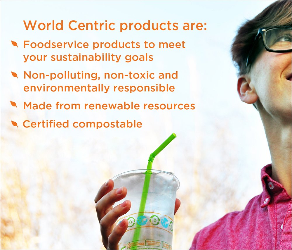 World Centric SQ-SC-7 100% Compostable Unbleached Plant Fiber Square Plates, 7 Inch Eco-Friendly Disposable Plates - Pack of 1000 for Parties, Picnics & Sustainable Events