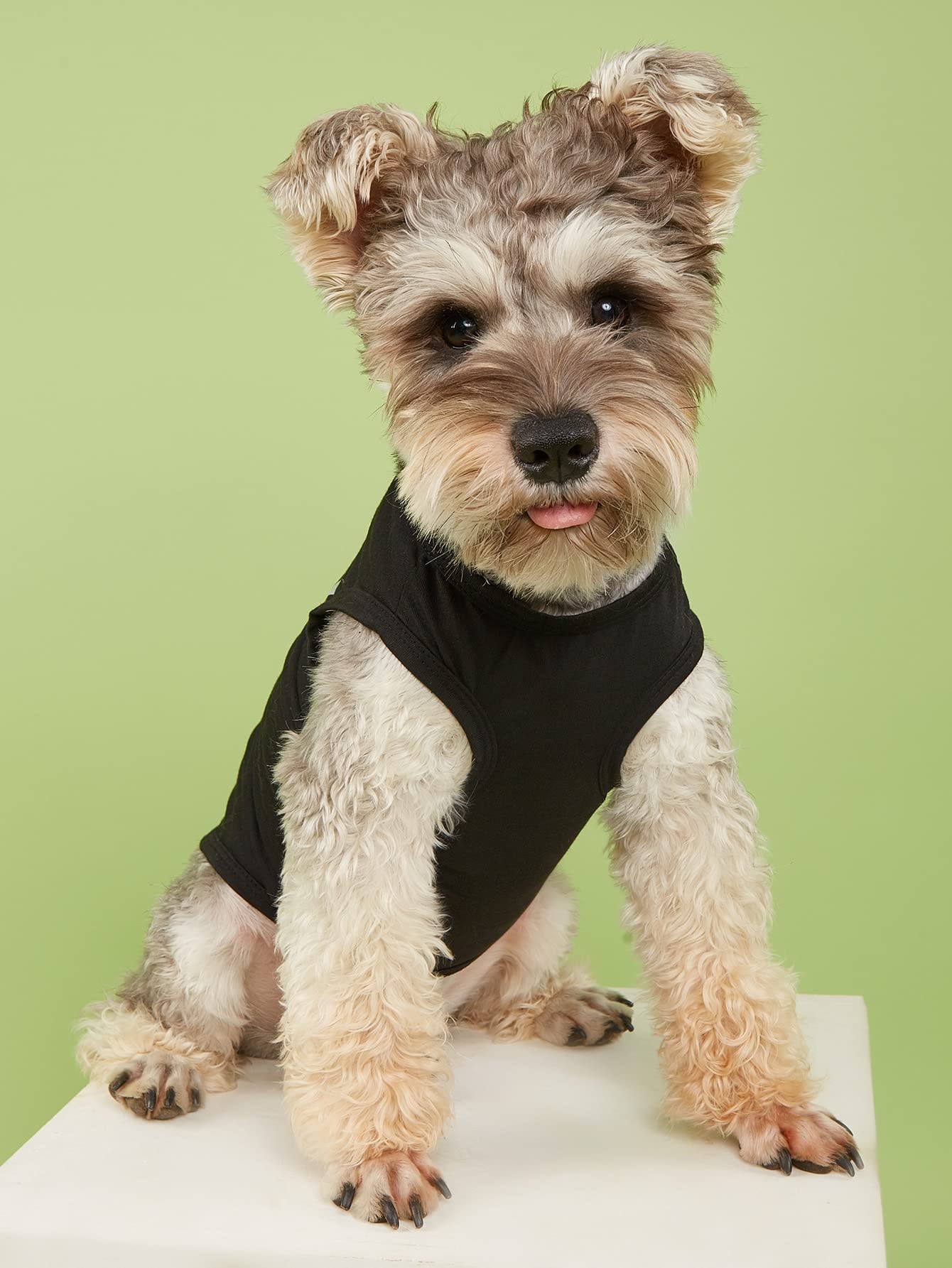 4 Pack Small Dog T-Shirts for Puppy Boys - Black Pet Clothes for Male Dogs | Perfect for Daily Wear, Outdoor Adventures & Photo Shoots