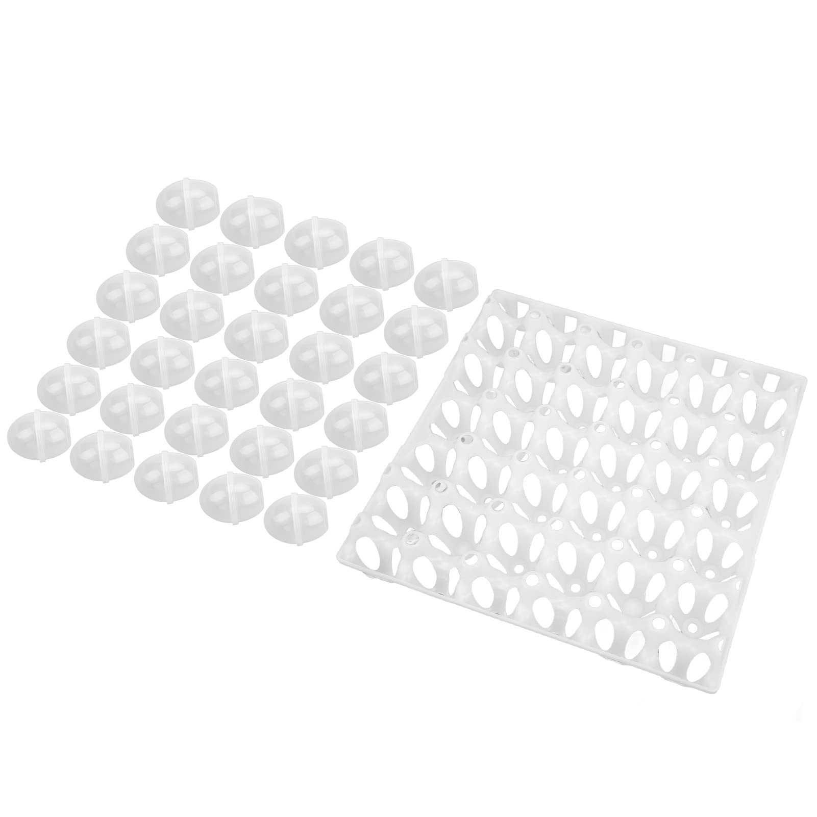 Pokerty9 Eggshell & Egg Tray Set - Leak-Proof Durable Egg Model for Egg Tray Combination (Set #3) - Perfect for Kitchen Storage, Baking, and Farm Fresh Egg Protection