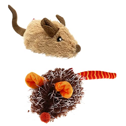 Brown-Ears&Orange-Ears
