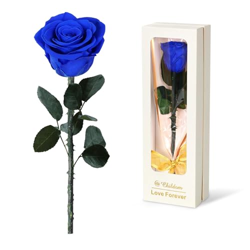Preserved Blue Rose