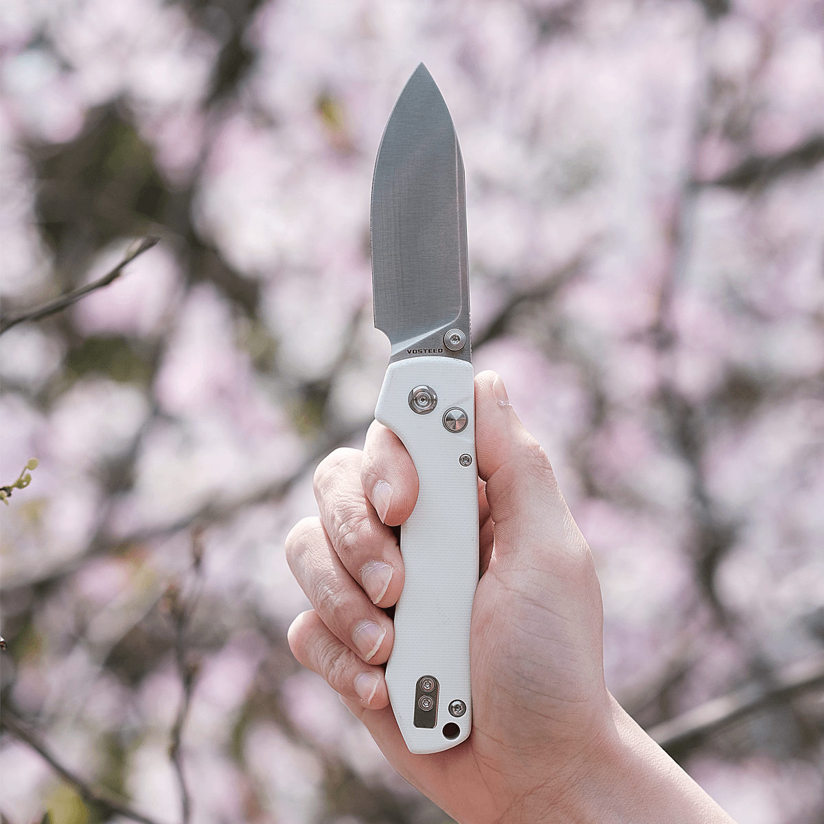 Raccoon® Button Lock Knife - 3.25