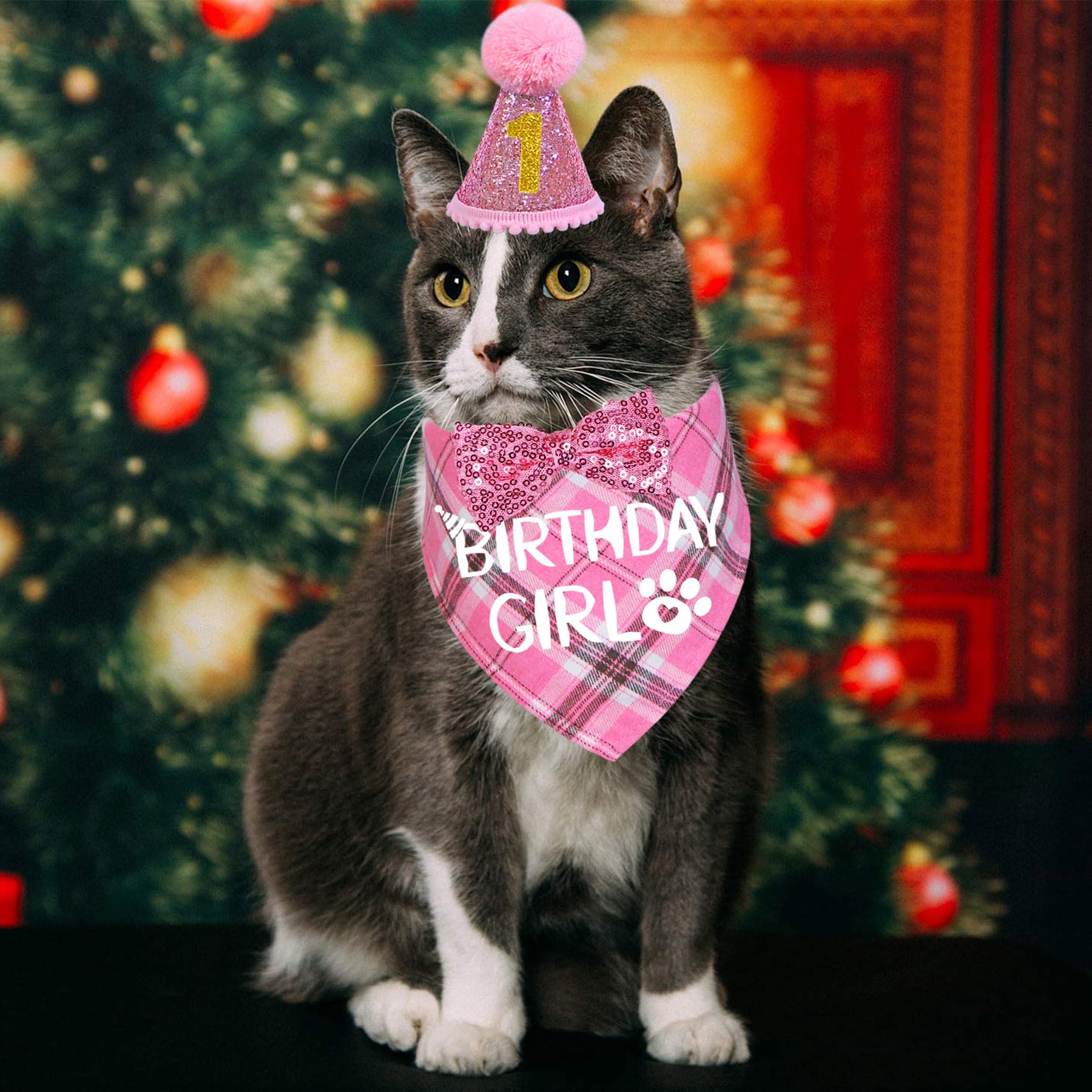 STMK Cat Birthday Party Supplies Set - Birthday Hat with Number, Bandana, Bow Tie Collar & Outfits for Kittens - Pink Pet Celebration Decorations | Perfect for Cat Birthday Parties, Photo Shoots & Special Occasions