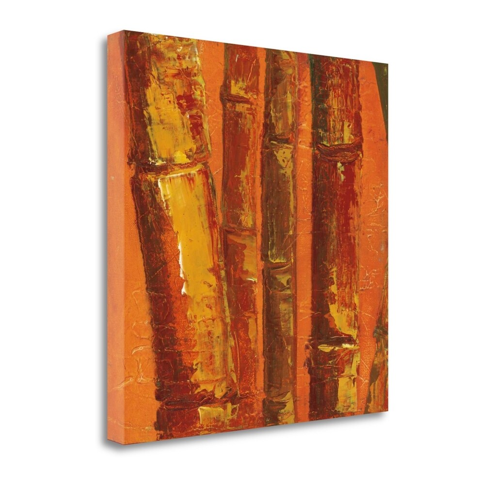 Bamboo Columbia III by Tita Quintero - Premium Giclee Art Print on Gallery Wrapped Canvas, Ready to Hang Wall Decor for Living Room, Bedroom & Office