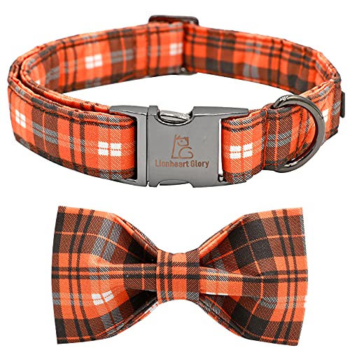 Orange Grid