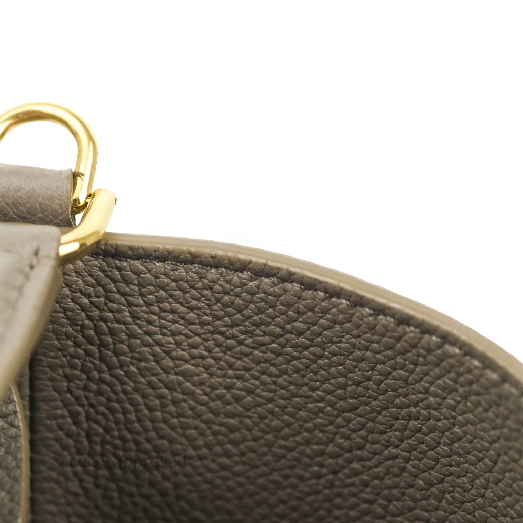 Celine Bucket 16 Handbag in Soft Grained Calfskin with Pebble Gold Hardware - Perfect for Everyday Use, Work, and Travel