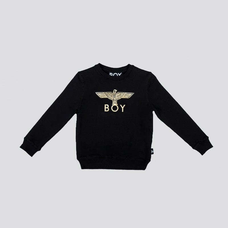 BOY EAGLE KIDS SWEATSHIRT | Cute Animal Print Hoodie for Boys | Soft Cotton Pullover for School & Outdoor Play