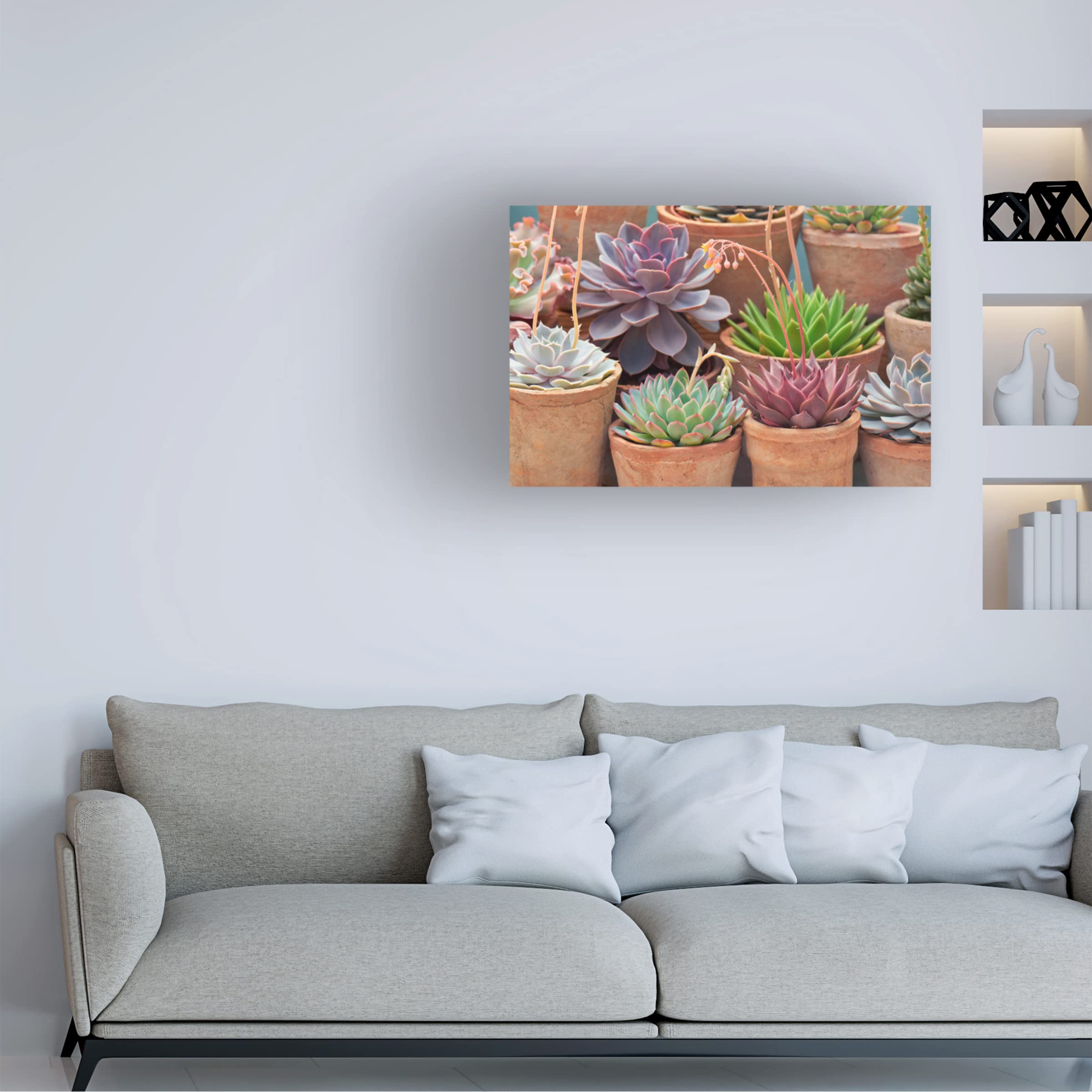 Trademark Fine Art 'Succulents in Terracotta Pots III' Canvas Wall Art Print by Cora Niele - Modern Home Decor for Living Room, Bedroom & Office
