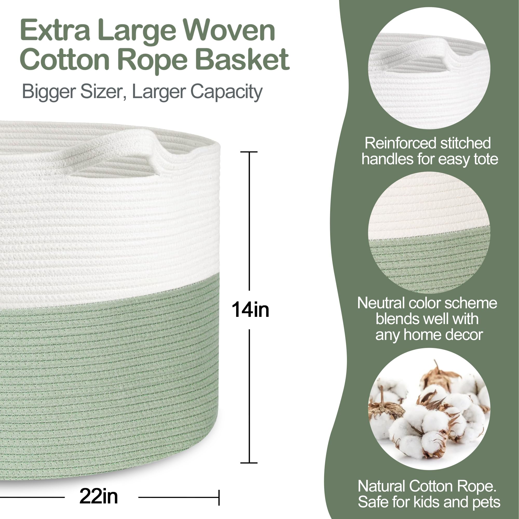 Extra Large 22