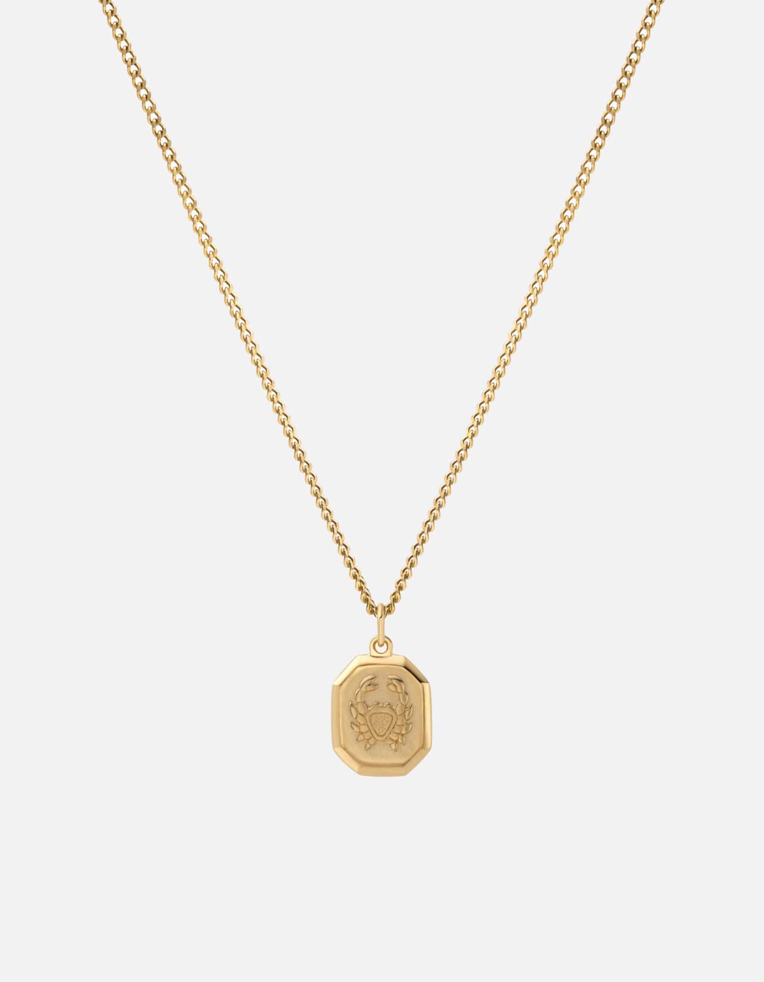 Zodiac Nyle Necklace - 14K Gold Vermeil Pendant for Women - Perfect for Birthdays, Anniversaries & Everyday Elegance