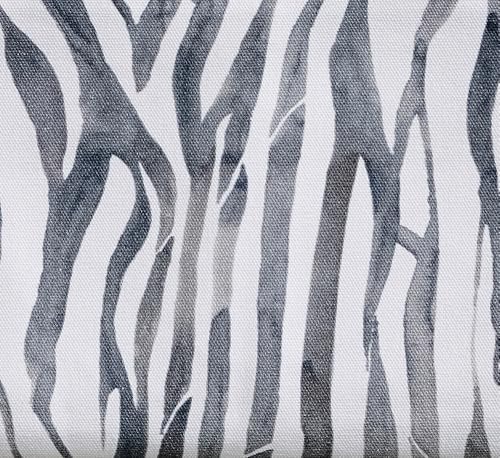 09 - Zebra
