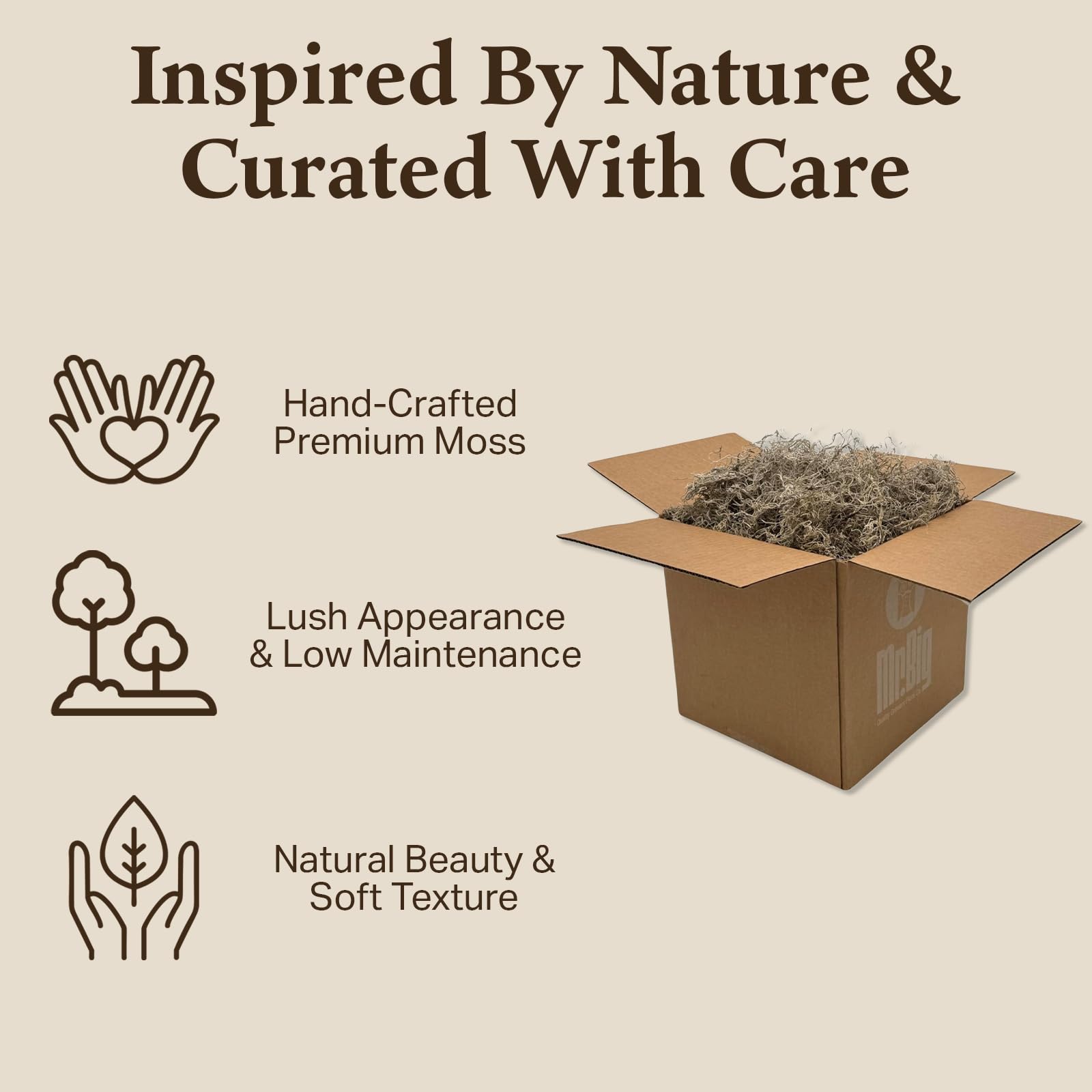 Preserved Spanish Moss for Crafts & Home Decor | Natural Dried Moss for DIY Projects, Art & Design | Indoor Use | Covers 10-12 sq ft | Perfect for Wreaths, Terrariums & Boho Decor