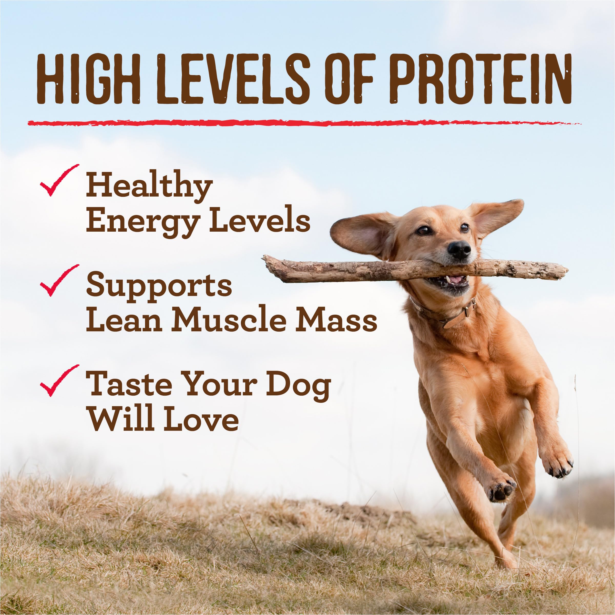 Premium Grain-Free Wet Dog Food by Merrick - Wilderness Blend Recipe, Soft & Wholesome Canned Adult Dog Food (12 Pack, 12.7oz) - Ideal for Active Dogs, Training Treats & Meal Toppers