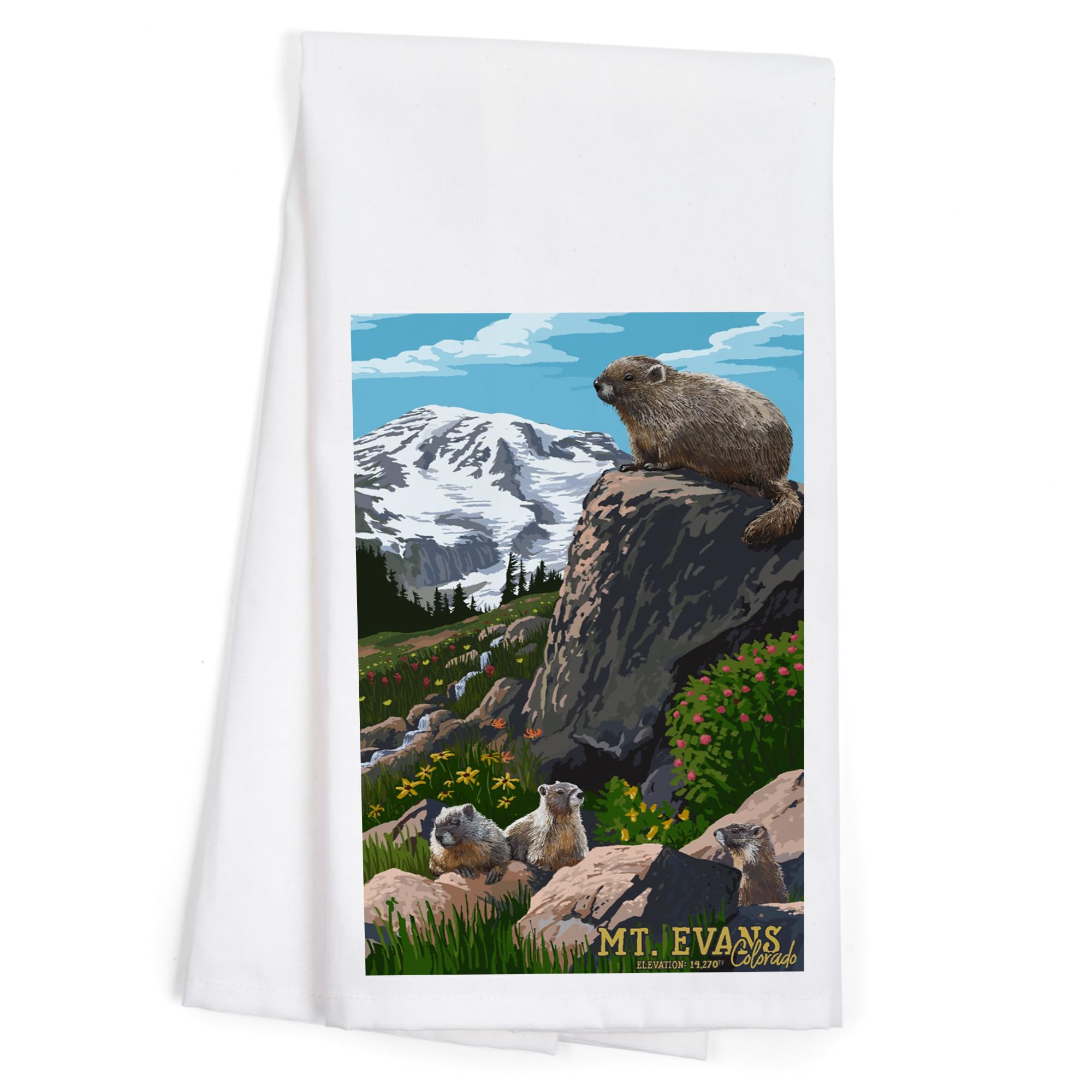 Lantern Press Mount Evans Colorado Marmots Elevation 100% Cotton Tea Towel - Decorative Hand Towel for Kitchen, Home Decor & Gifts (Perfect for Dish Drying, Wall Art & Cozy Farmhouse Style)