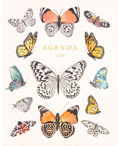 Butterflies