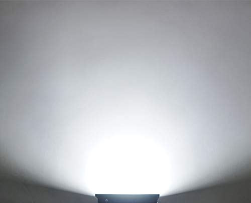 Daylight White