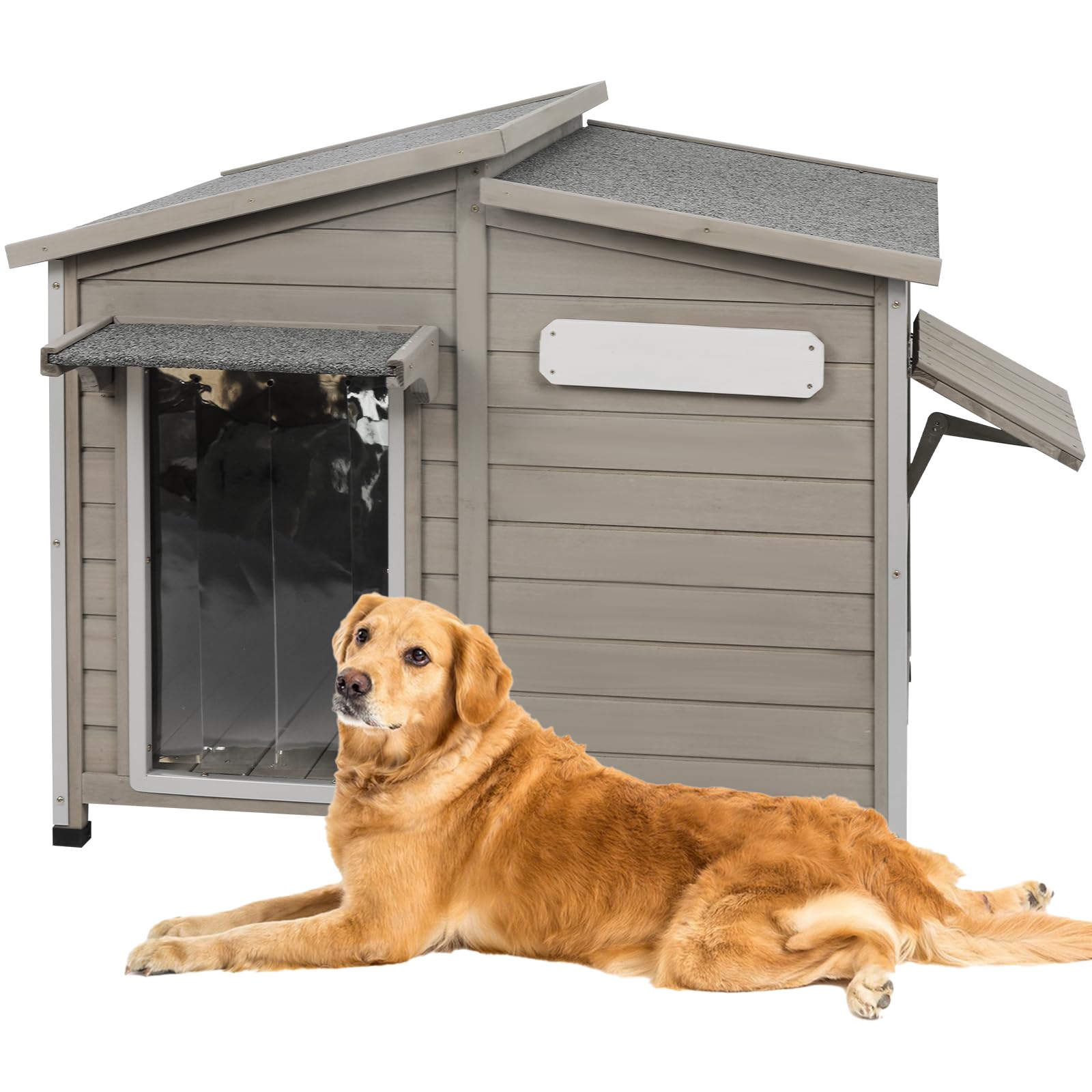 A Home for Max: The Perfect Shelter for Your Beloved Pet