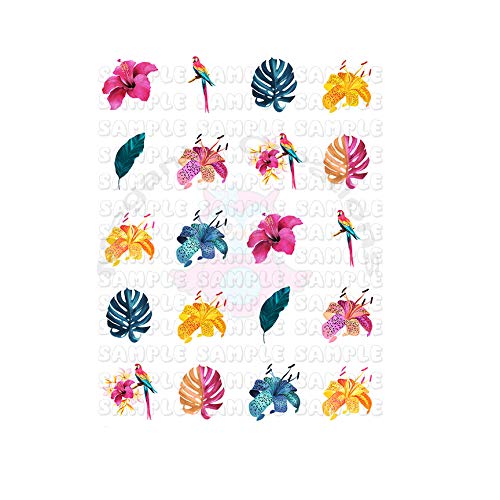 Exotic Tropical Summer Macaw Nail Art Decals - Colorful Parrot Nail Stickers for Women | Perfect for Beach Vacations, Summer Parties & Tropical Themed Manicures