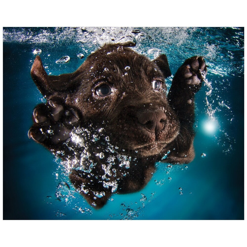 Black Lab Dog Wall Art - Frameless Floating Tempered Glass Panel in Blue & Brown - Perfect for Living Room, Bedroom, or Office Decor