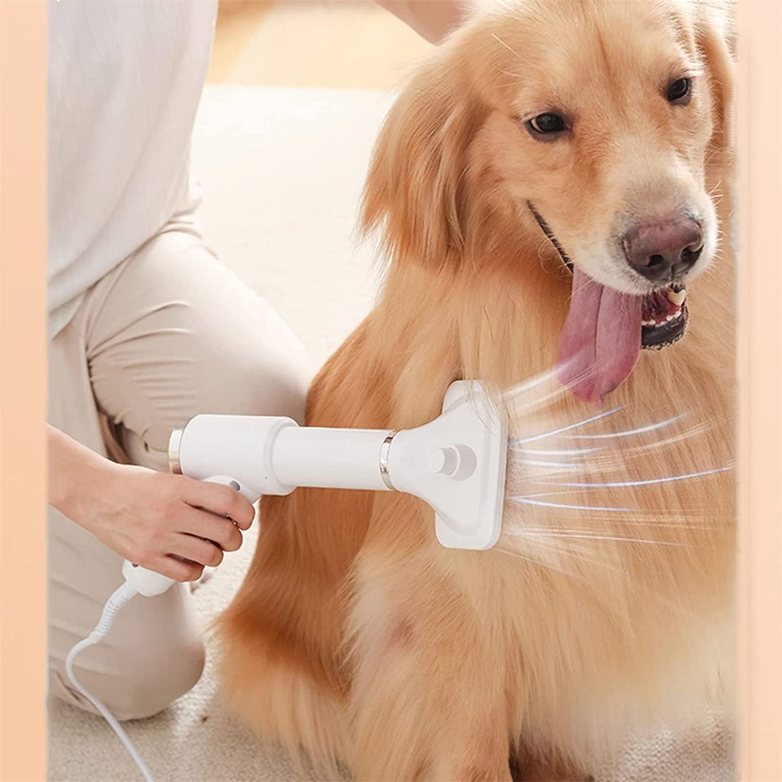 Upgraded 2-in-1 Pet Hair Dryer & Slicker Brush - Adjustable 3 Heat & 2 Airflow Settings for Dogs & Cats - 78.74in Long Power Cord (White) | Perfect for Grooming, Drying & Deshedding at Home or Pet Salons