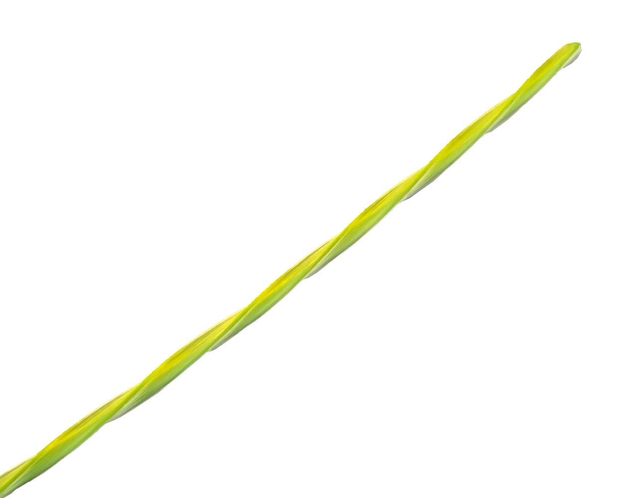 .065 Ultra Twisted String Trimmer Line - 100 Feet Bulk Spool for Lawn Mower & Weed Eater - Durable Weed Wacker Replacement for Professional Landscaping & Yard Maintenance