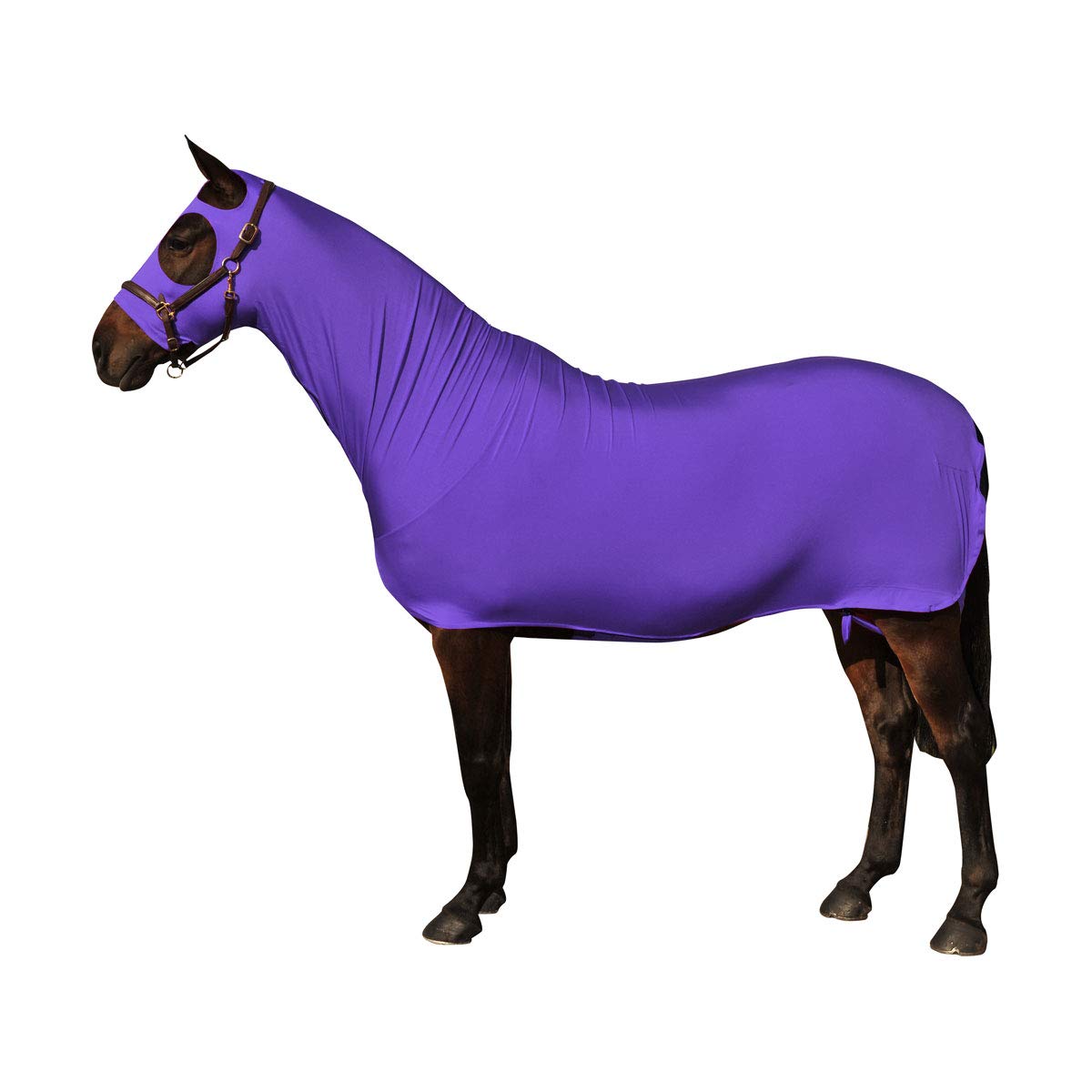 Premium Body Wrap (14.2hh) - Soft & Comfortable Purple Post-Workout Recovery Wrap for Women & Men - Perfect for Yoga, Gym, and Relaxation at Home