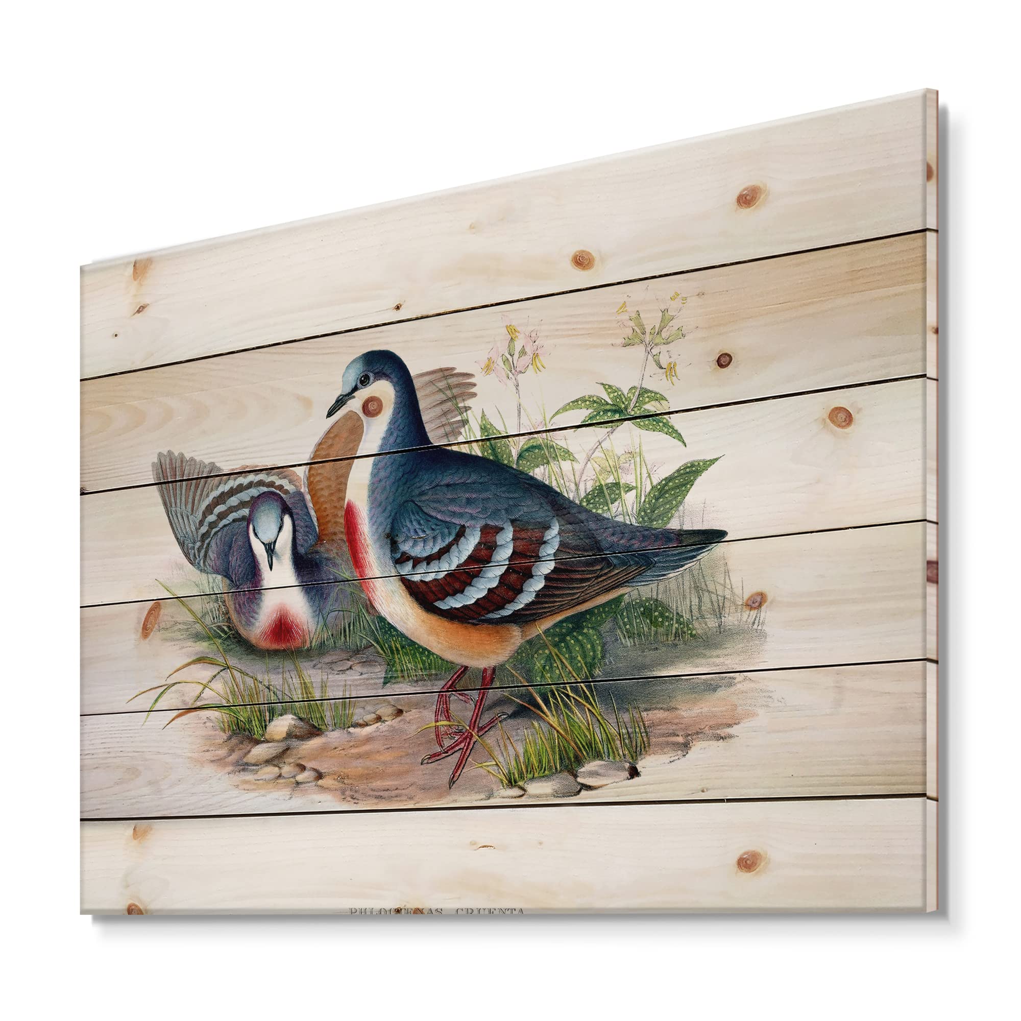 Vintage Birds In The Wild Traditional Wood Wall Art - Blue Animal Wall Decor, Large Pine Wood Wall Panels with Nature Prints - Perfect for Living Room, Bedroom & Office Decor