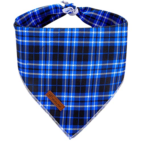 BluePlaid