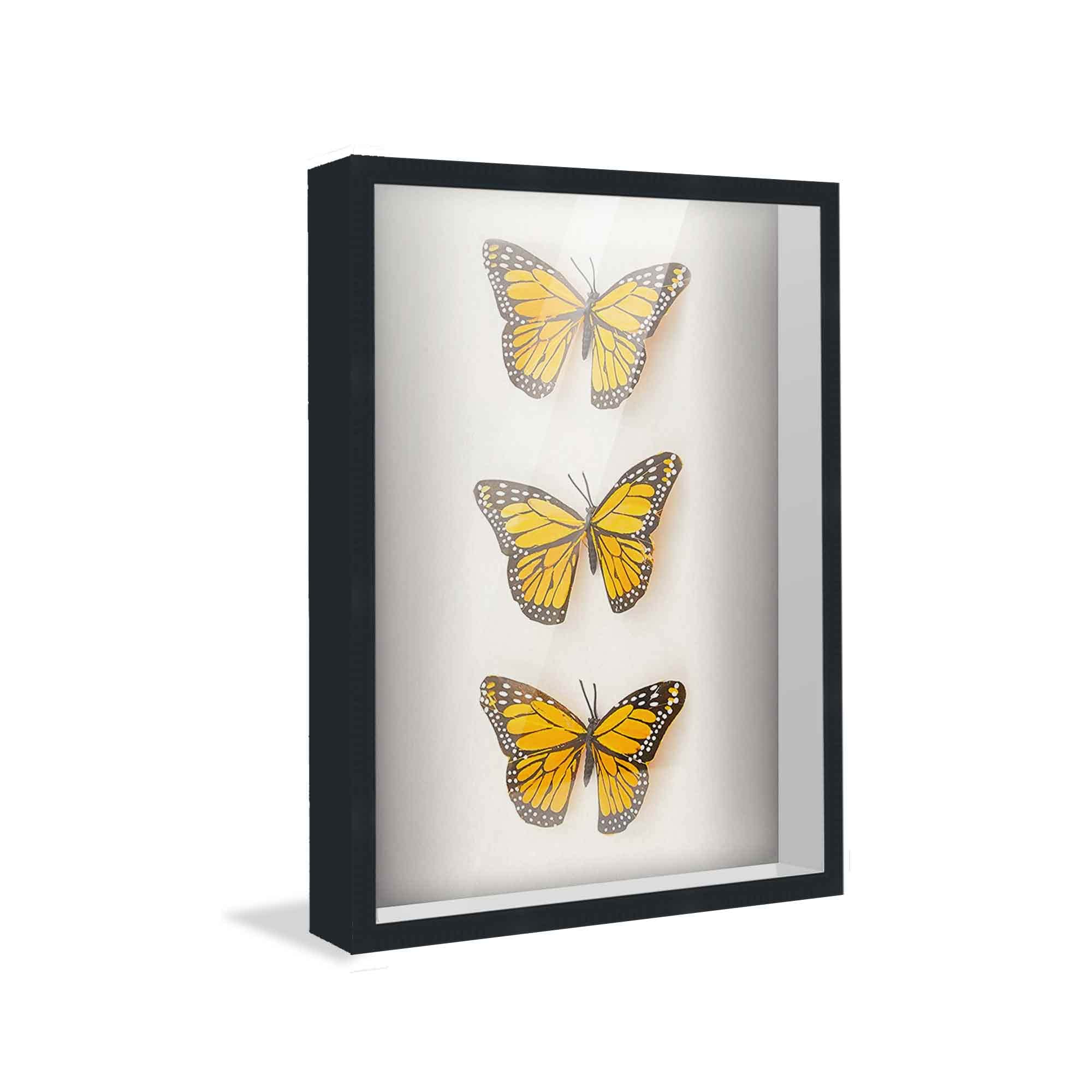 36x24 Black Contemporary Wood Shadow Box with White Acid-Free Backing, UV Acrylic & Hanging Hardware - Perfect for Displaying Memorabilia, Photos, and Keepsakes - CustomPictureFrames.com