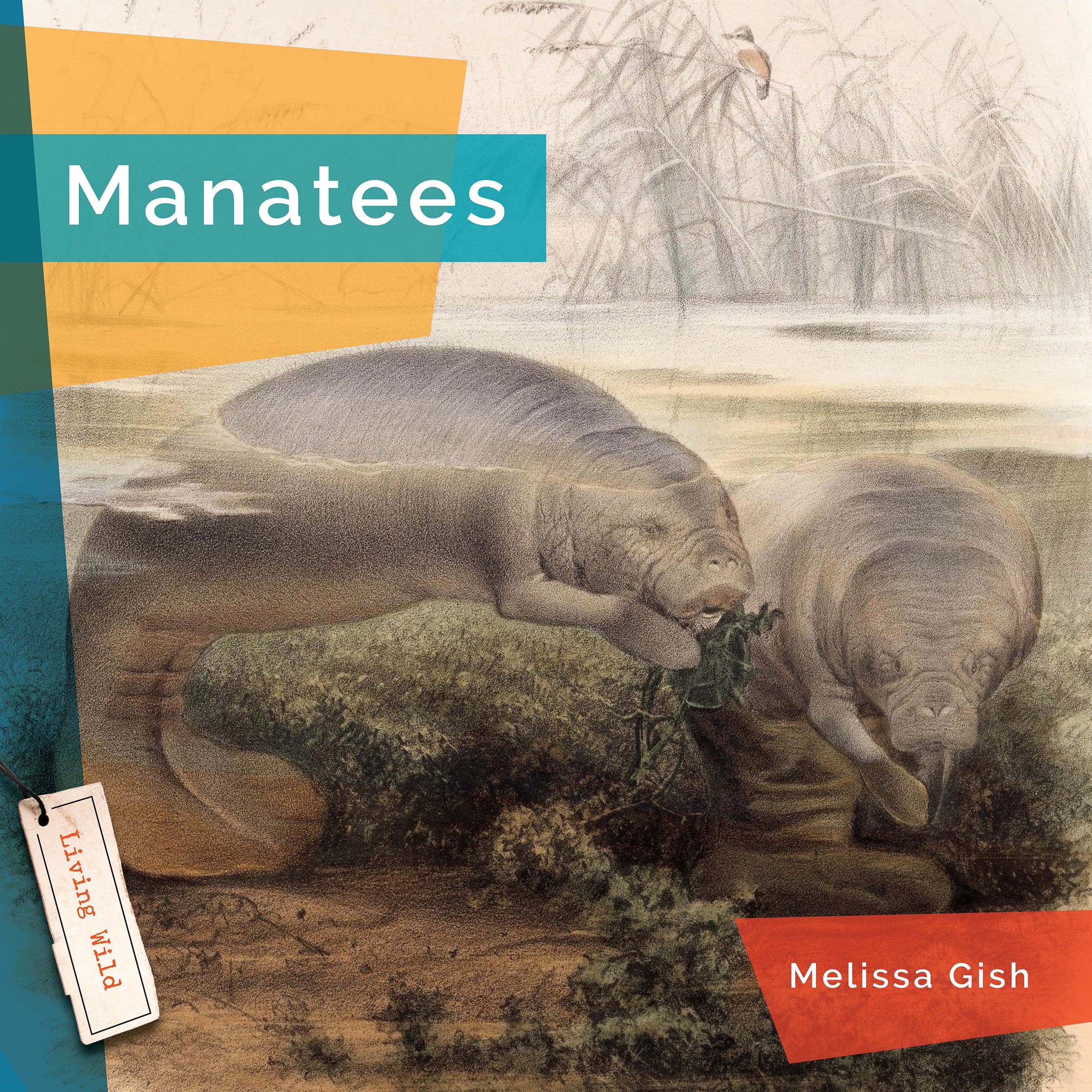 Manatees Book 9781640267923 - Learn About Gentle Sea Giants | Perfect for Marine Life Enthusiasts & Educational Gifts