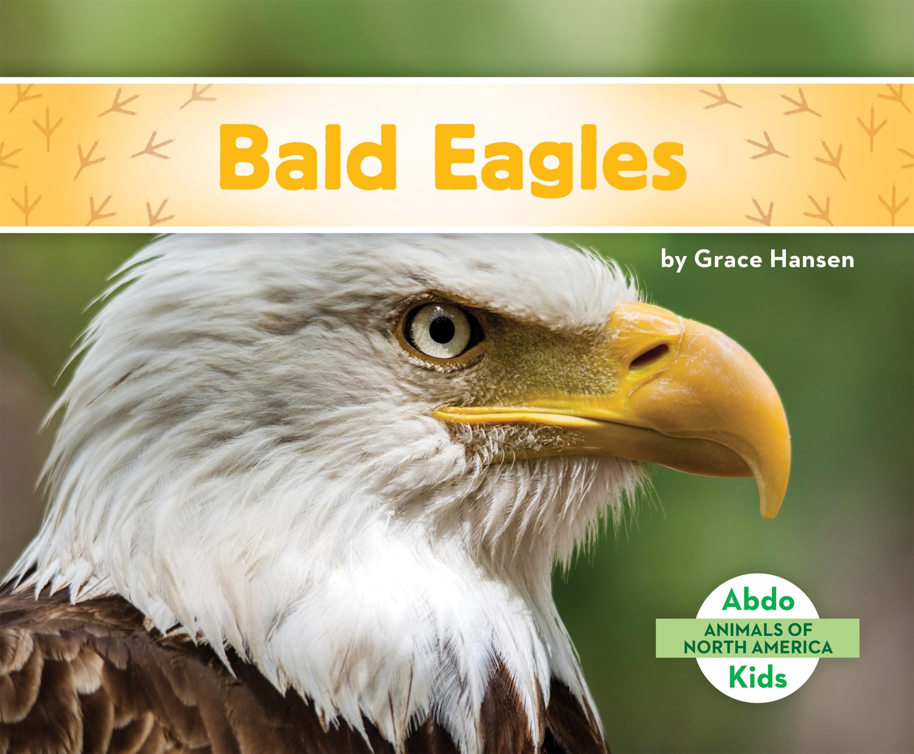 Bald Eagles of North America - Majestic Raptors & National Bird - Wildlife Photography, Birdwatching & Nature Exploration Gifts