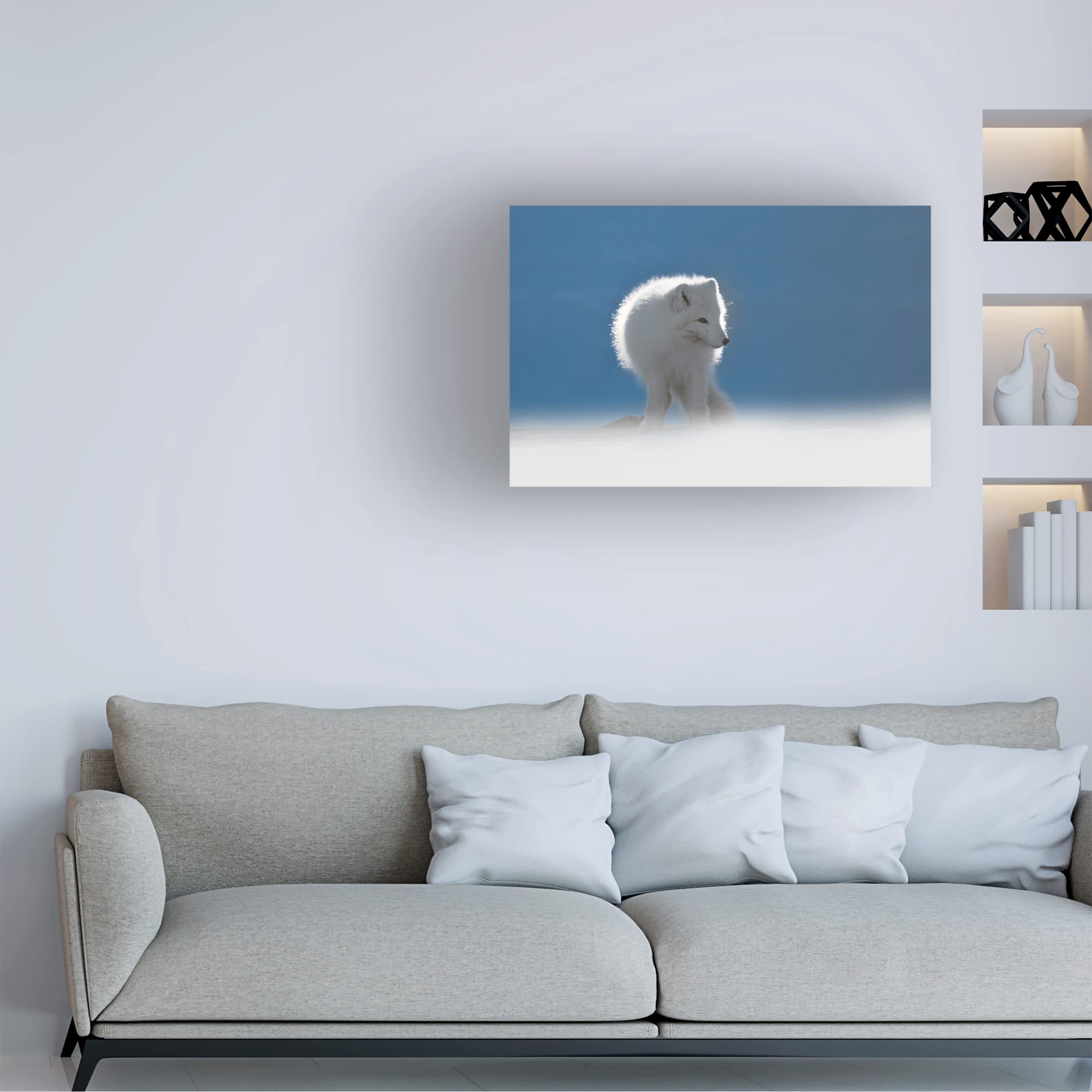 Roberto Marchegiani Arctic Fox 2 Canvas Wall Art - Premium Wildlife Home Decor for Living Room, Bedroom & Office - Trademark Fine Art Collection